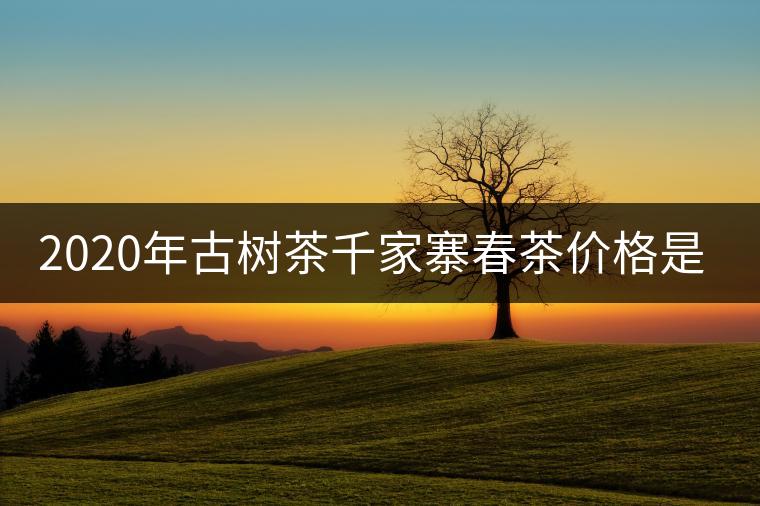 2020年古樹(shù)茶千家寨春茶價(jià)格是多少？