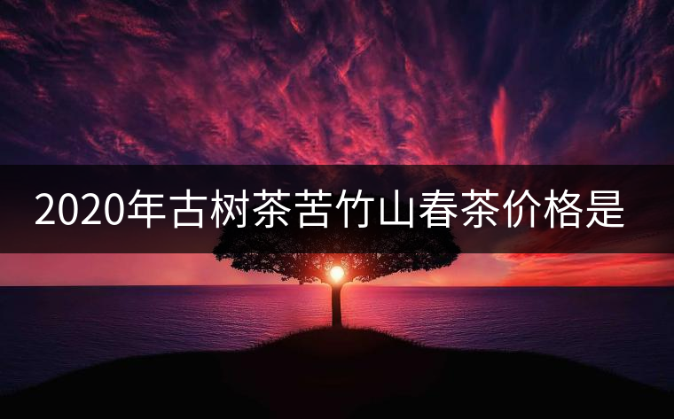 2020年古樹茶苦竹山春茶價(jià)格是多少？