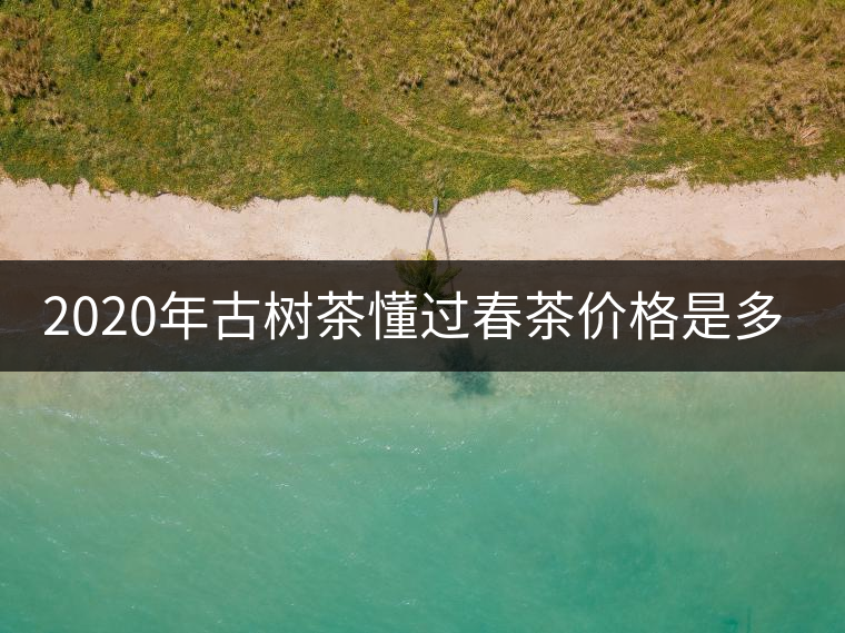 2020年古樹茶懂過春茶價格是多少？