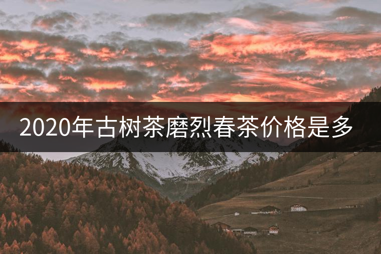 2020年古樹(shù)茶磨烈春茶價(jià)格是多少？