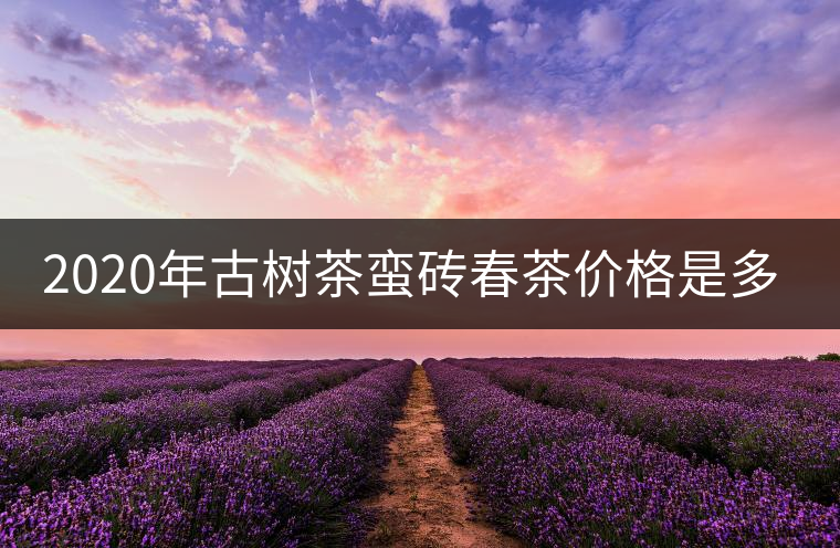 2020年古樹茶蠻磚春茶價格是多少？