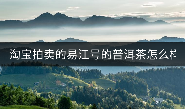 淘寶拍賣的易江號的普洱茶怎么樣？