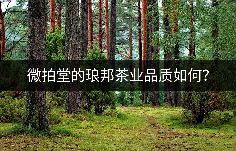 微拍堂的瑯邦茶業(yè)品質(zhì)如何？