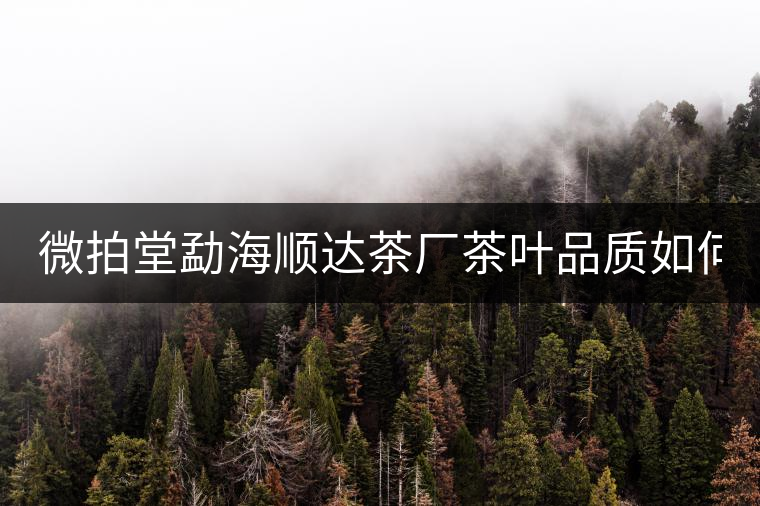 微拍堂勐海順達(dá)茶廠茶葉品質(zhì)如何？