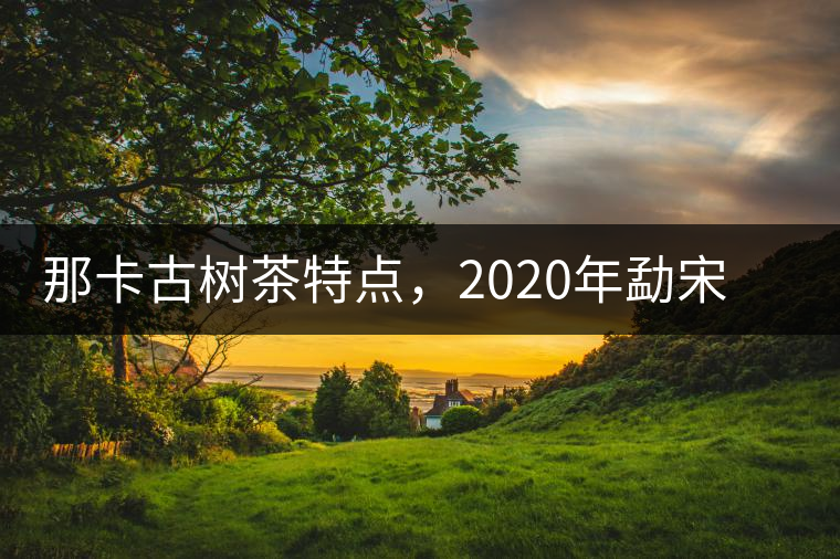 那卡古樹茶特點，2020年勐宋茶區(qū)保塘普洱茶口感