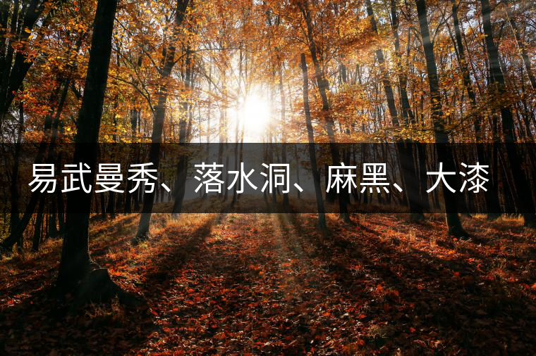 易武曼秀、落水洞、麻黑、大漆樹等你更喜歡哪個茶？