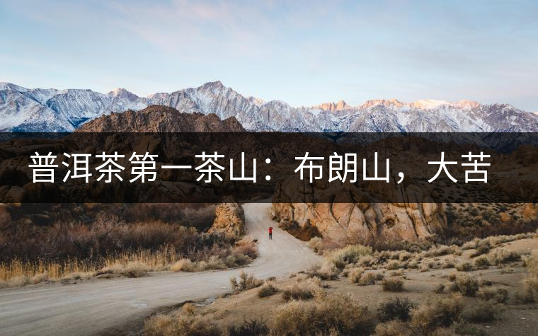 普洱茶第一茶山：布朗山，大苦大甘是它的魂