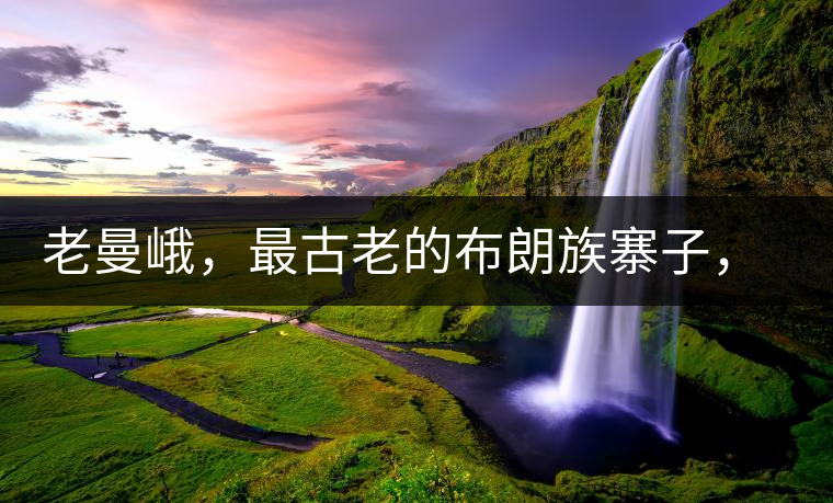 老曼峨，最古老的布朗族寨子，最極端的普洱茶