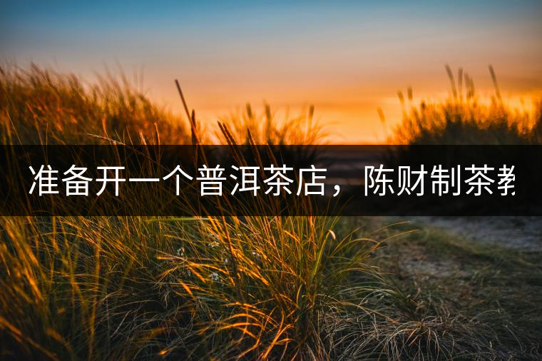 準備開一個普洱茶店，陳財制茶教你怎么做！