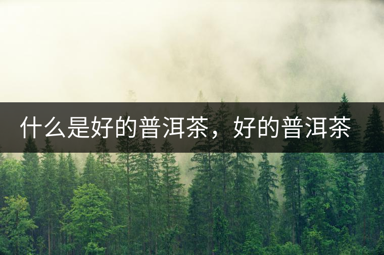 什么是好的普洱茶，好的普洱茶必須要有好的工藝！