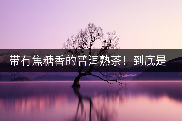 帶有焦糖香的普洱熟茶！到底是好是壞？