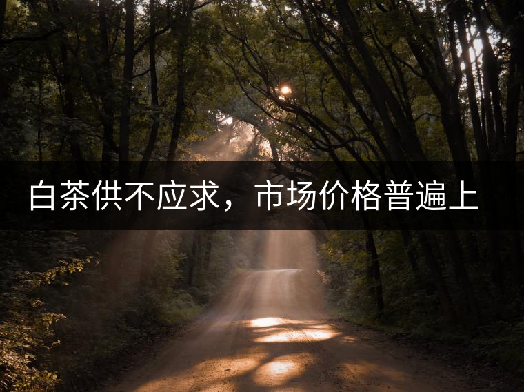 白茶供不應(yīng)求，市場價格普遍上漲？