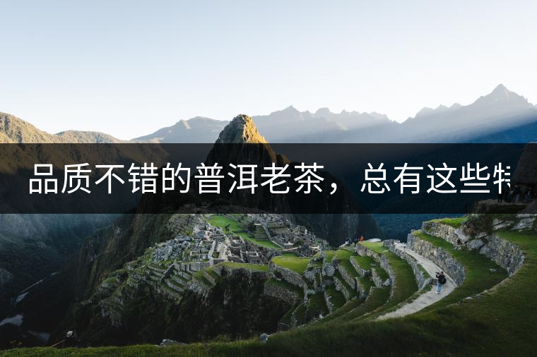 品質(zhì)不錯(cuò)的普洱老茶，總有這些特點(diǎn)！