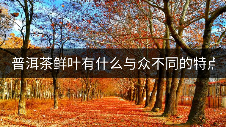 普洱茶鮮葉有什么與眾不同的特點(diǎn)？