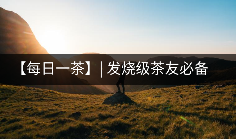 【每日一茶】| 發(fā)燒級茶友必備——品鑒易武·薄荷塘 【每日一茶】| 發(fā)燒級茶友必備——品鑒易武·薄荷塘