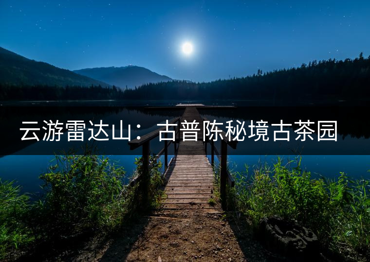 云游雷達(dá)山：古普陳秘境古茶園，品第一杯春鮮