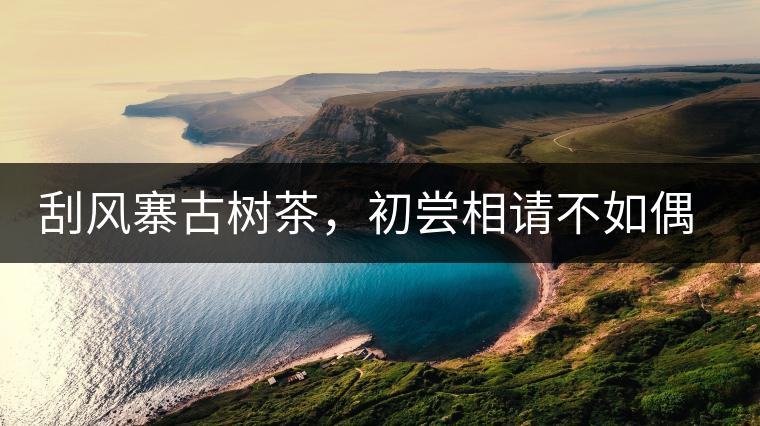 刮風(fēng)寨古樹茶，初嘗相請(qǐng)不如偶遇