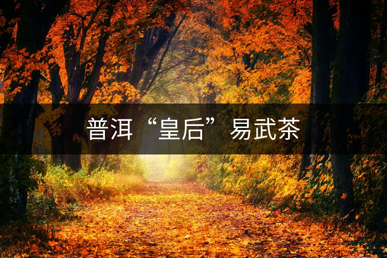 普洱“皇后”易武茶 普洱“皇后”易武茶