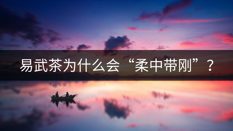 易武茶為什么會(huì)“柔中帶剛”？