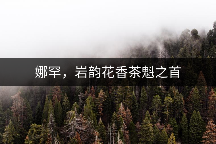 娜罕，巖韻花香茶魁之首