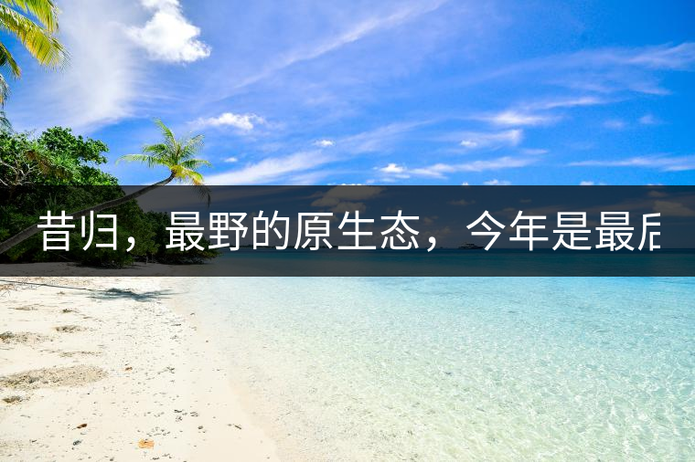 昔歸，最野的原生態(tài)，今年是最后一年了！