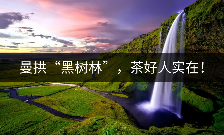 曼拱“黑樹(shù)林”，茶好人實(shí)在！