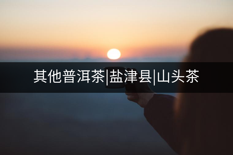 其他普洱茶|鹽津縣|山頭茶