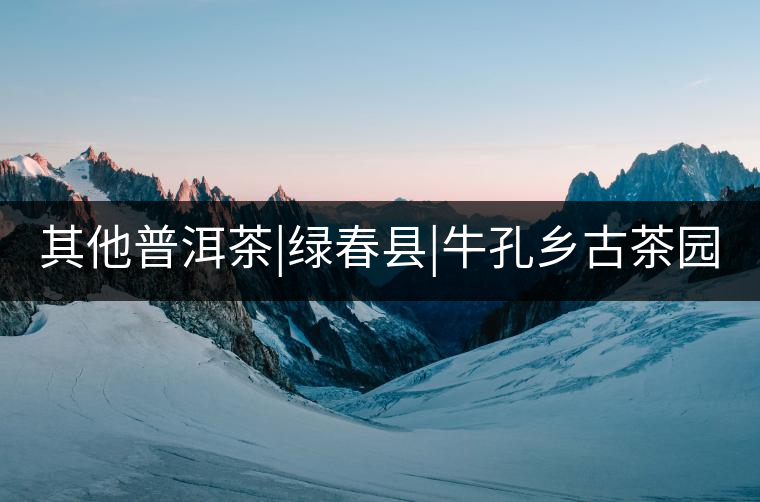 其他普洱茶|綠春縣|牛孔鄉(xiāng)古茶園 其他普洱茶|綠春縣|??奏l(xiāng)古茶園