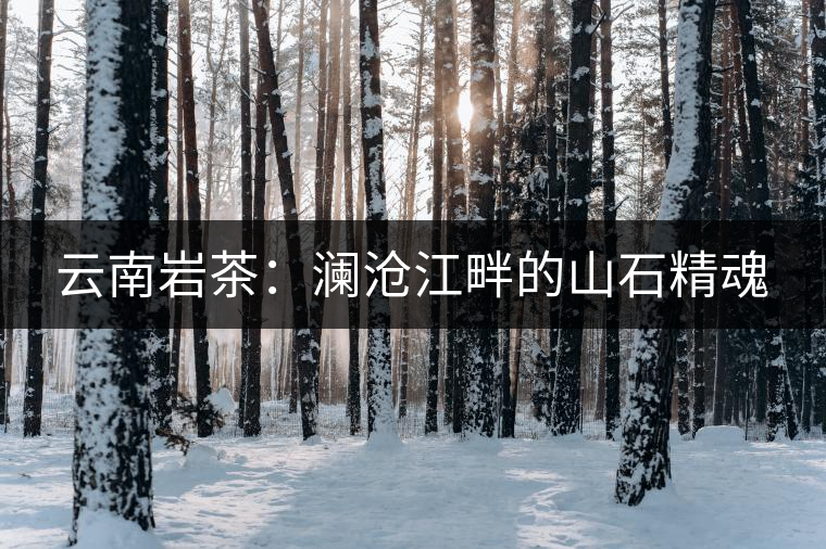 云南巖茶：瀾滄江畔的山石精魂