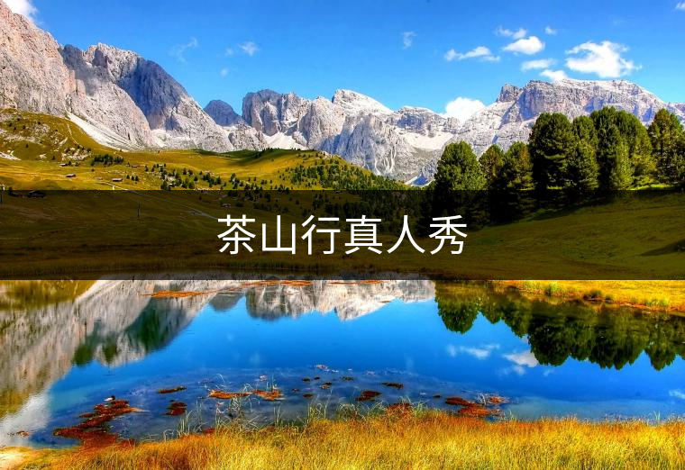 茶山行真人秀 茶山行真人秀