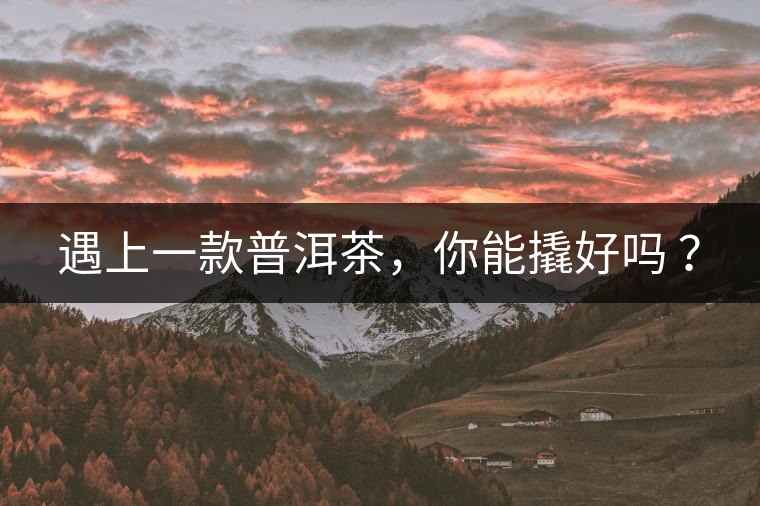 遇上一款普洱茶，你能撬好嗎 ？