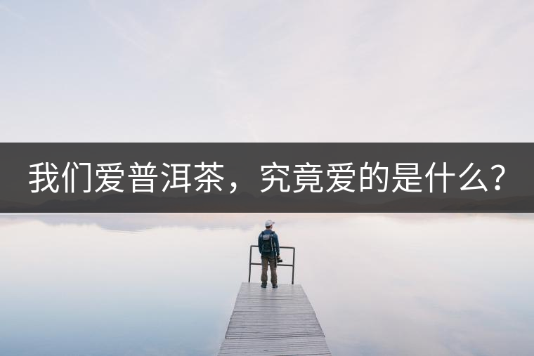 我們愛普洱茶，究竟愛的是什么？