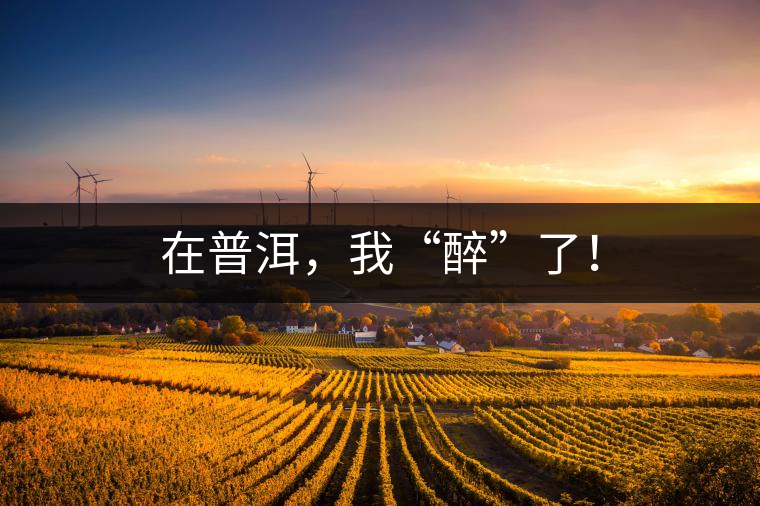 在普洱，我“醉”了！