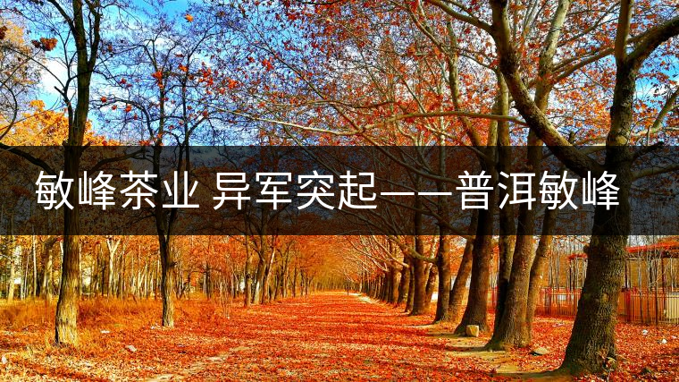 敏峰茶業(yè) 異軍突起——普洱敏峰茶業(yè)有限公司紀實