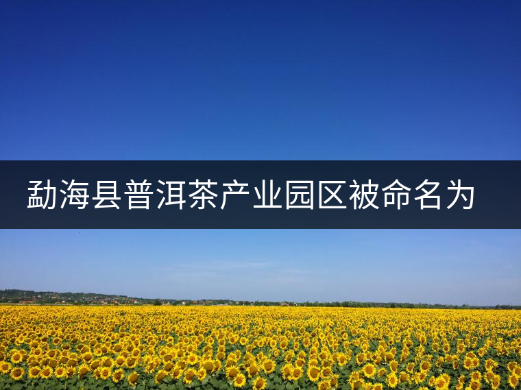 勐?？h普洱茶產(chǎn)業(yè)園區(qū)被命名為 