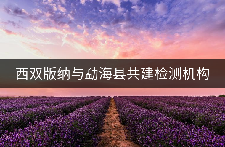 西雙版納與勐?？h共建檢測(cè)機(jī)構(gòu)