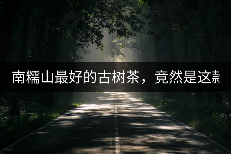 南糯山最好的古樹茶，竟然是這款！