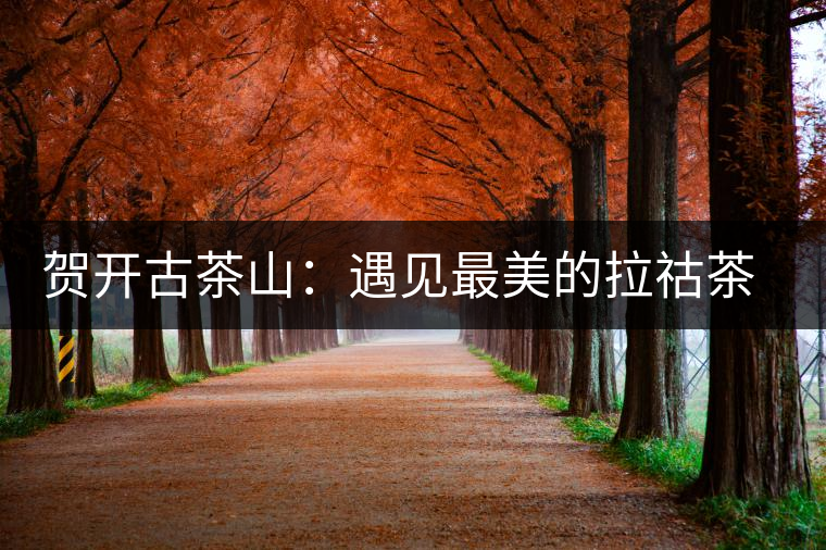 賀開(kāi)古茶山:遇見(jiàn)最美的拉祜茶山 賀開(kāi)古茶山:遇見(jiàn)最美的拉祜茶山