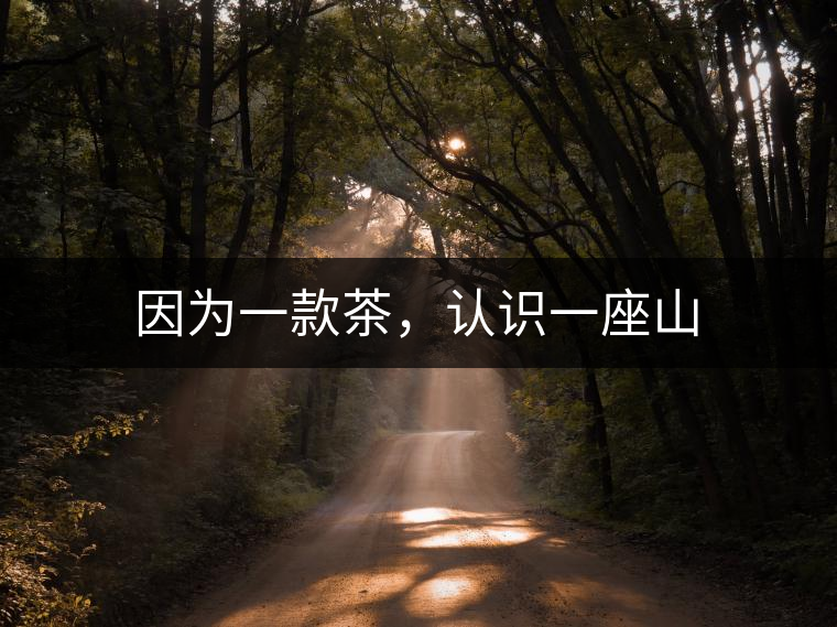 因為一款茶，認識一座山