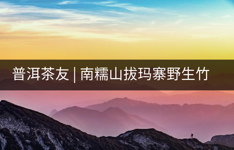 普洱茶友 | 南糯山拔瑪寨野生竹蓀給看過(guò)？