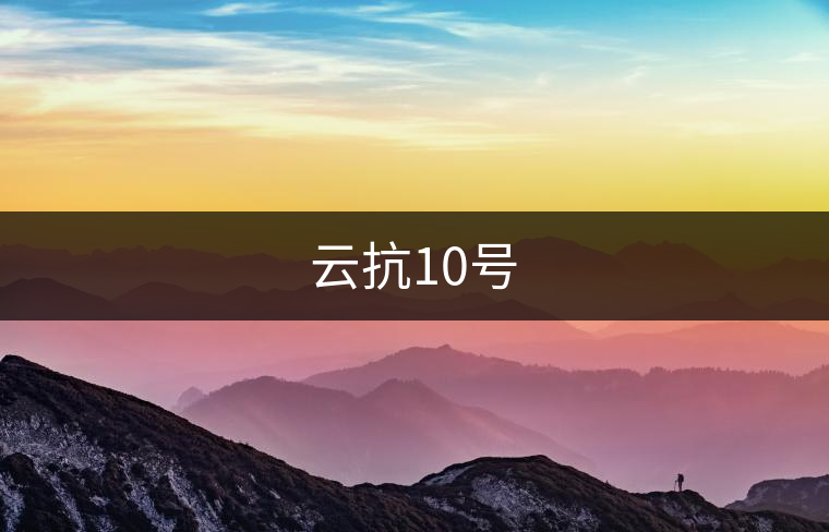 云抗10號
