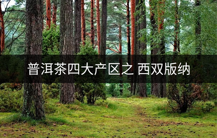 普洱茶四大產(chǎn)區(qū)之 西雙版納 普洱茶四大產(chǎn)區(qū)之 西雙版納