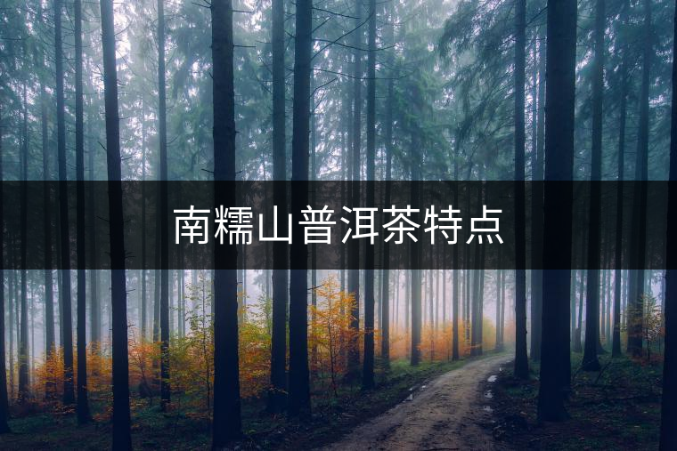 南糯山普洱茶特點 南糯山普洱茶特點