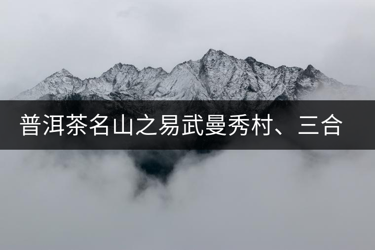 普洱茶名山之易武曼秀村、三合社村