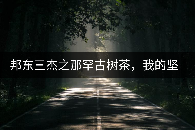 邦東三杰之那罕古樹茶，我的堅持