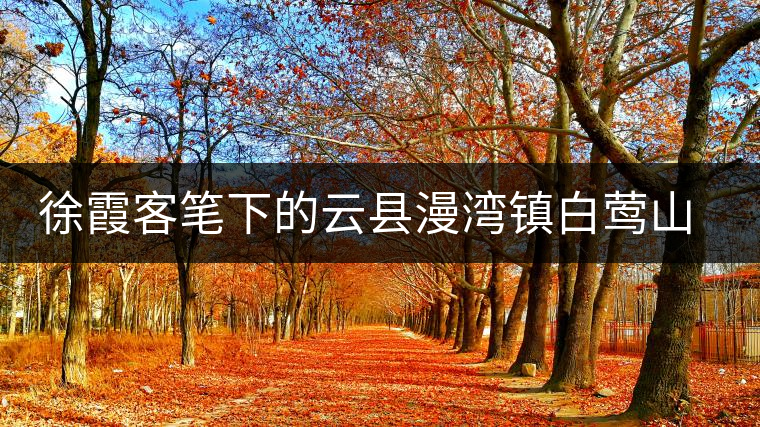 徐霞客筆下的云縣漫灣鎮(zhèn)白鶯山古樹(shù)茶