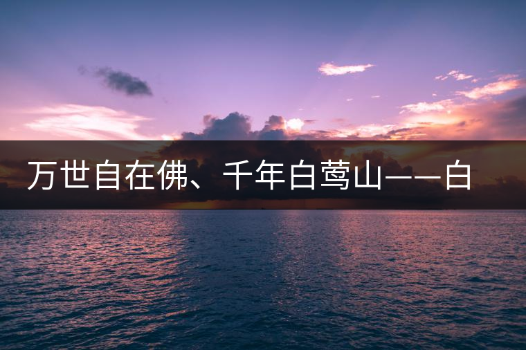 萬(wàn)世自在佛、千年白鶯山——白鶯山古樹(shù)茶特點(diǎn)