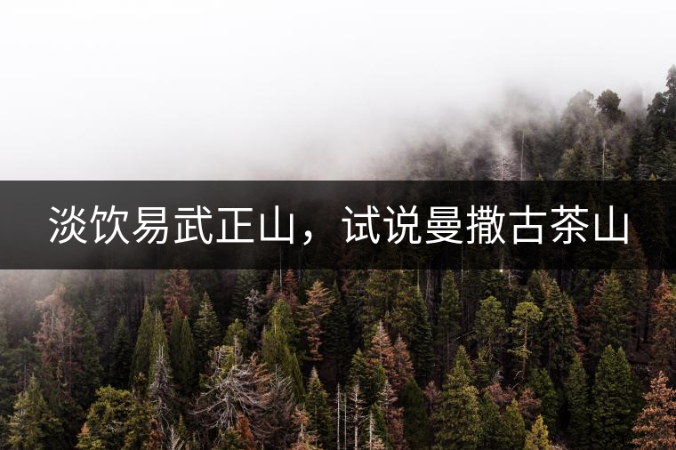 淡飲易武正山，試說曼撒古茶山