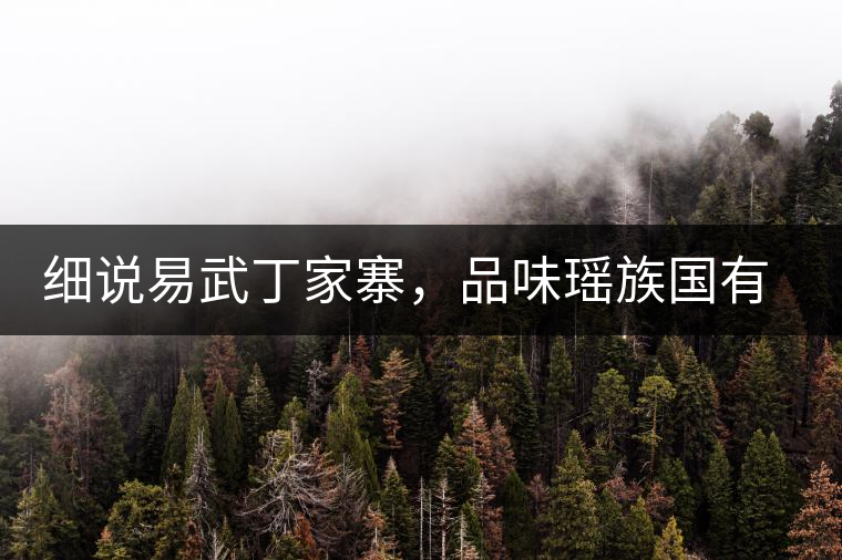 細(xì)說易武丁家寨，品味瑤族國有林古樹普洱茶