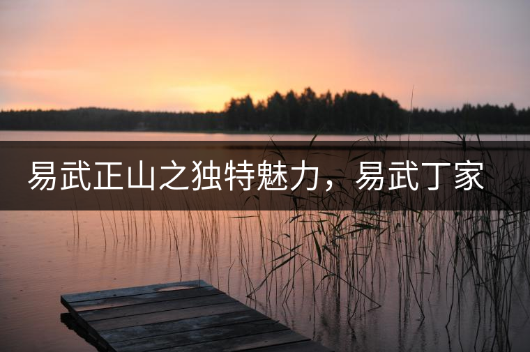 易武正山之獨特魅力，易武丁家寨介紹品鑒